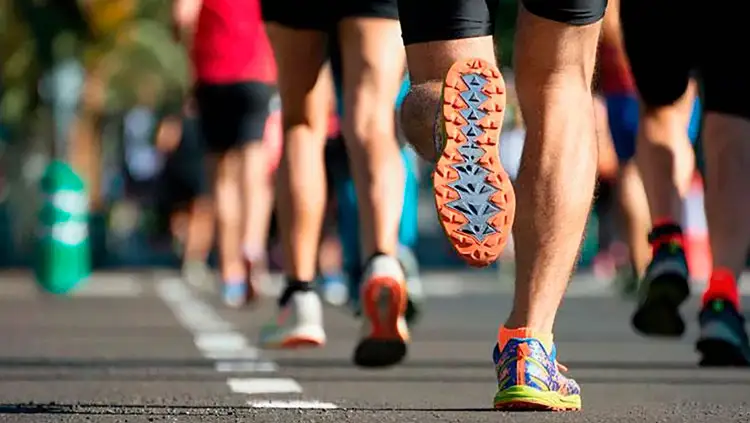 ¿Cuánta proteína debe consumir un atleta? (Cuanta proteína consumir al día para aumentar los musculos) | ProtFit.com