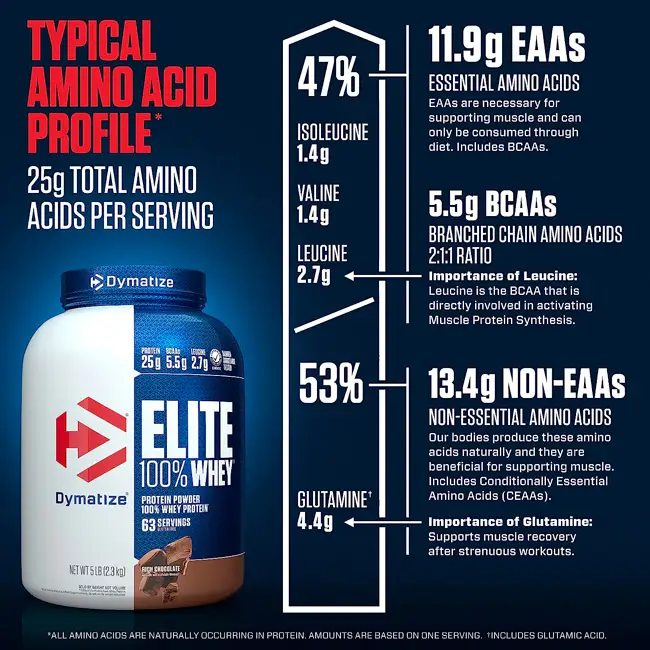 Elite 100% Whey - Dymatize - Proteína en polvo sabor chocolate (etiqueta limpia 4) | ProtFit.com